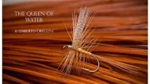 Video thumb for Queen of Water