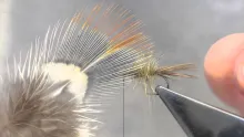 Video thumb for Sparrow