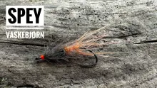 Video thumb for Spey Racoon
