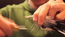 Video thumb for Articulated Fly Tutorial - Rattles up!