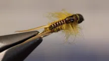 Video thumb for Simple Golden Stone