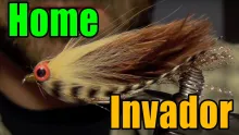 Video thumb for Home Invader Streamer