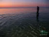 Computer screen wallpaper: Wading in the shallows on a beautiful evening.
