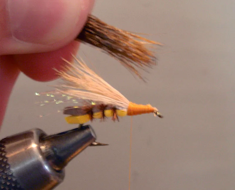 Step 12: Adding the bullet head - Select, brush and stack a small clump of dark deer or elk body hair for the bullet head. Here I have chosen brown for the golden stonefly pattern. To make sure your bullet head is the right size, measure it with the tips facing towards the front of the hook shank as shown. Your tie in point should leave the tips of the hair extending forward equal to the length of the overwing as shown above. Tie in at the start of the thorax, clip off the butt hair and wrap tightly forward