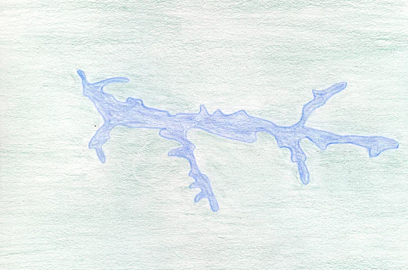 Lake Arthur - Lake Arthur: a 3,225-acre impoundment situated fifty miles north of my home city of Pittsburgh. An aerial view of the lake resembles a striding cougar -- head to the northwest, four legs to the south, with a tail leading northeastward -- a feline image as believable as the constellation of Leo the Lion.