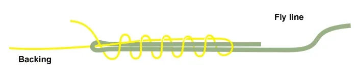 Albright knot - backing to fly line - The albright knot is easy to tie and very strong