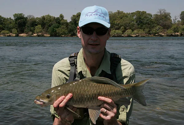 Zambezi yellowfish - A great opportunity to wade a wild river full of hippo and crocodile... And it is worth it!